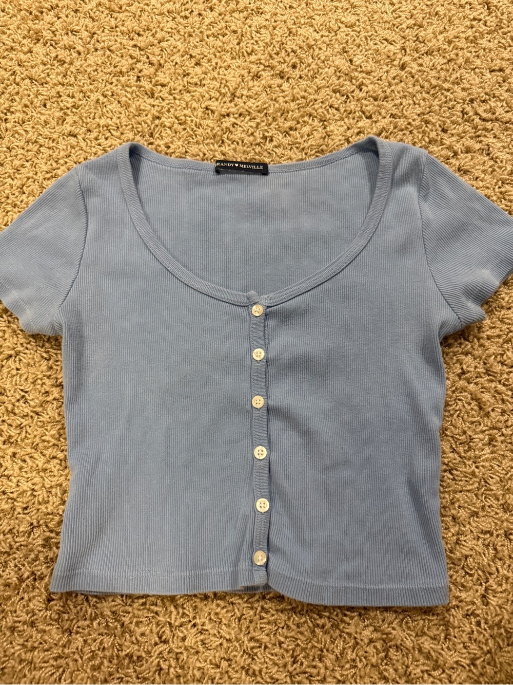Brandy Melville Sky Blue Ribbed Button Crop Top